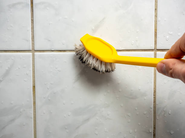 Best Commercial Mold Removal  in Blaine, WA