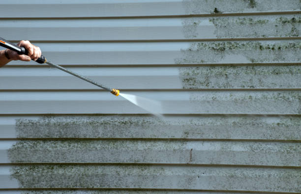 Mold Removal and Inspection in Blaine, WA