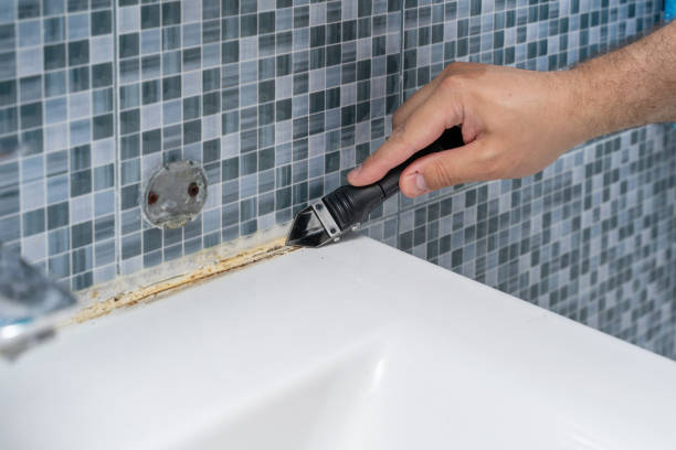 Best Black Mold Removal  in Blaine, WA