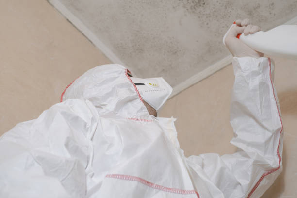 Best Mold Remediation  in Blaine, WA